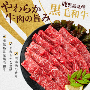 鹿児島県産黒毛和牛 赤身スライス600g 200g×3P カミチク IB112-003 牛肉 牛肉 
