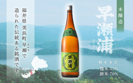 入手困難【早瀬浦】本醸造 1800ml × 4本 セット【日本酒 地酒 福井 美浜 早瀬 フルーティ 男酒 硬水 ミネラル 希少 ご褒美 家飲み 敬老の日 プレゼント】[m16-d010]