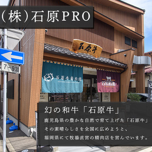 石原牛 赤身霜降りモモ 焼肉用(300g) 黒毛和牛 国産 九州産 鹿児島県産 牛肉 ブランド牛 焼肉 BBQ 和牛 霜降り 赤身 健康志向 冷凍 贅沢 贅沢な一品 贈答用 ギフト用 【株式会社石原PRO】akn083-06
