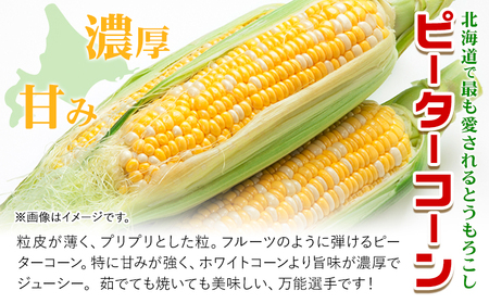 極甘とうもろこし ピーターコーン 20本 特大サイズ(1本380g以上) 高橋賢三【先行予約】《2026年8月上旬-9月中旬頃出荷》 とうもろこし トウモロコシ 北海道とうもろこし 朝採れとうもろこし 産地直送とうもろこし