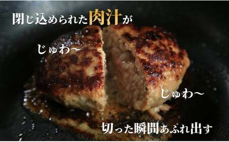 佐賀の肉汁ハンバーグ 150g×8個(1.2kg) 佐賀産豚肉×佐賀牛 佐賀牛 肉汁 国産 手ごね 冷凍 絶品 簡単 アレンジ さがぎゅう 牛肉 N17-1