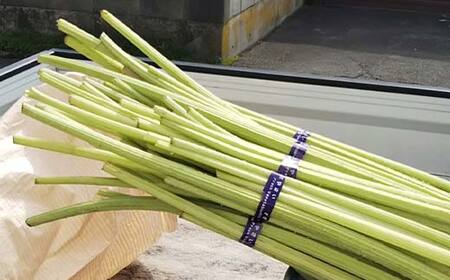 音蕗(おんぶき) 1kg 音別の蕗と道東産の昆布だけで作った佃煮「ふきっこ」【6月上旬発送予定】 おかず 無農薬 ご飯のお供 セット 小分け つくだ煮 佃煮 フキ ふき 音別産生蕗 北海道産 北海道