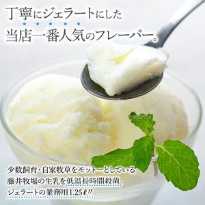 【訳あり】ミルク ジェラート 1.25リットル【大容量 アイス 業務用 スイーツ 人気 デザート 冷凍 氷菓子 1.25L 家族 ファミリーサイズ 朝搾りミルク】