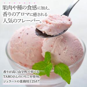 【訳あり】いちごミルク ジェラート 1.25リットル【TAROいちごミルク 大容量 アイス 業務用 スイーツ 人気 デザート 冷凍 氷菓子 1.25L 家族 ファミリーサイズ 苺】