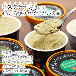 【数量限定】ピスタチオ ジェラート 121ml×8個（2種各4個）食べ比べ【アイス スイーツ 人気 デザート 冷凍 氷菓子 小分け セット 詰め合わせ イタリア シチリア産 豆乳 ピスタチオ】