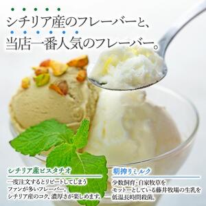 【数量限定】ジェラート 500ml×2種 食べ比べ  シチリア産 ピスタチオ 朝搾りミルク【大容量 アイス 業務用 セット 合計 1リットル スイーツ 人気 デザート 冷凍 氷菓子 家族 ファミリーサイズ】