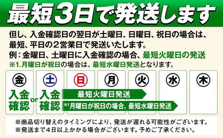 キリンビール キリン淡麗グリーンラベル　500ml 2ケース（48本入）【横浜工場製】 AFA0015