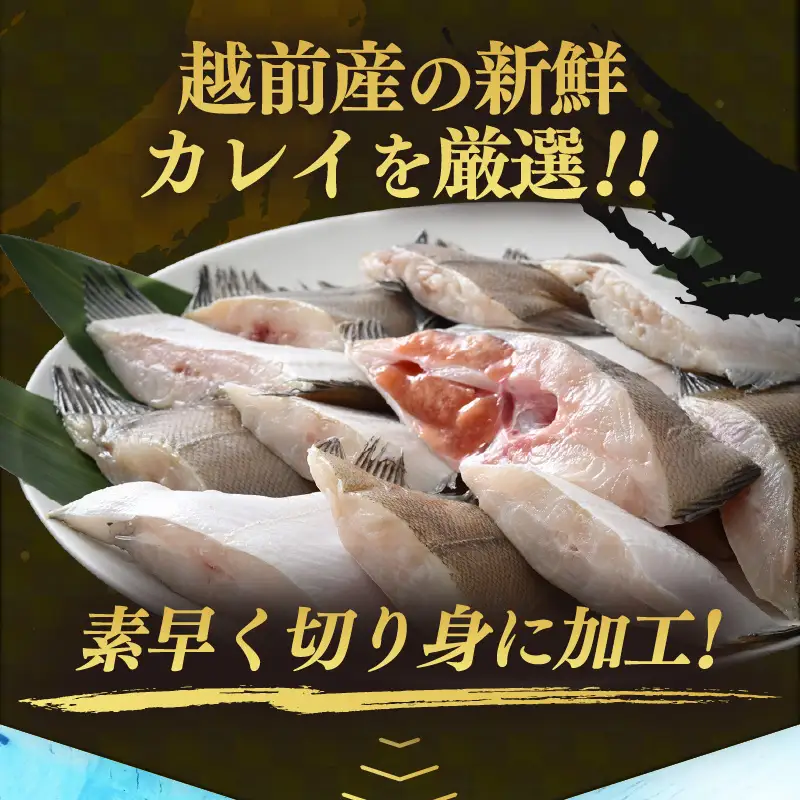 定期便 ≪3ヶ月連続お届け≫ 使い勝手抜群！福井県網元漁師が厳選 肉厚な越前産カレイの切り身（無塩）1kg × 3回 計3kg たっぷり 焼き魚 煮付け バラ凍結便利 [e15-a034]