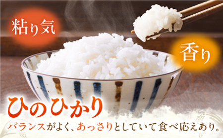 ヒノヒカリ 白米10kg 【角田農園】[ZEV002] 白米 コメ ごはん  熊本 山鹿