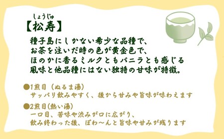 【 先行予約 】種子島  射場貴大 茶園  「松寿」 「くりわたせ」 「しまみどり」　「みねゆたか」 種子島 限定 4茶葉セット　NFN571 【325pt】 // 日本茶 緑茶 希少品種 お茶 新茶 一番茶 松寿 くりわたせ しまみどり みねゆたか