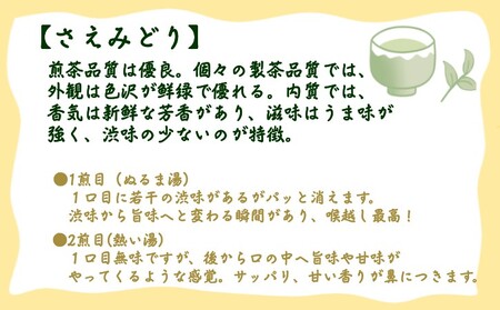 【 R8年産 】種子島 射場貴大 茶園 「さえみどり」 「あさつゆ」 「なんめい」 「やぶきた」 茶ツウ が 喜ぶ 単品 味わい セット　NFN573【300pt】// 日本茶 緑茶 希少品種 お茶 新茶 一番茶 煎茶 