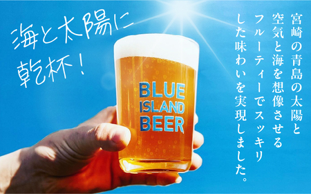 クラフトビール ビール 青島 サーフエール 6本・ビアグラス 1個 セット