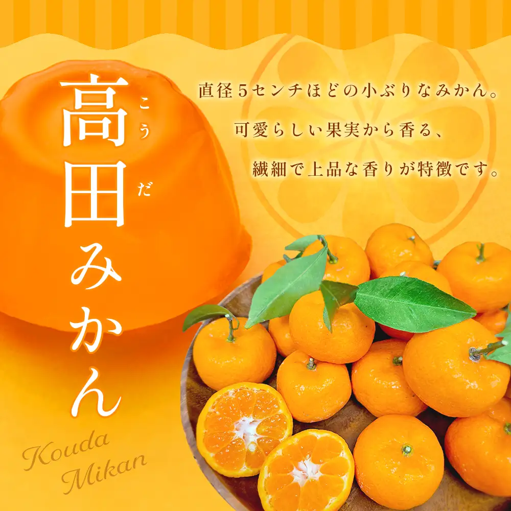 高田みかんゼリー　18個入