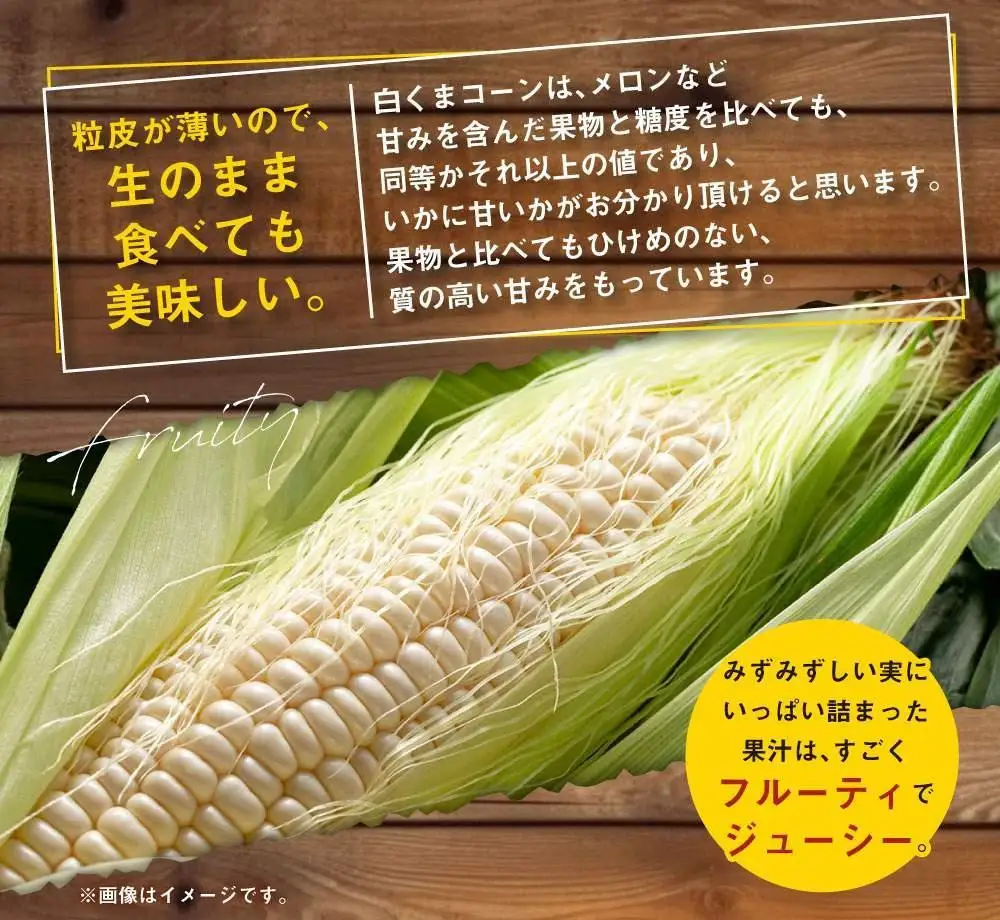 【先行予約】あさひやま動物園しろくまコーン3.2kg(ホワイトレディもしくはピュアホワイト8本)2026年8月下旬から発送開始 | とうもろこし とうもろこし 北海道 限定_03811