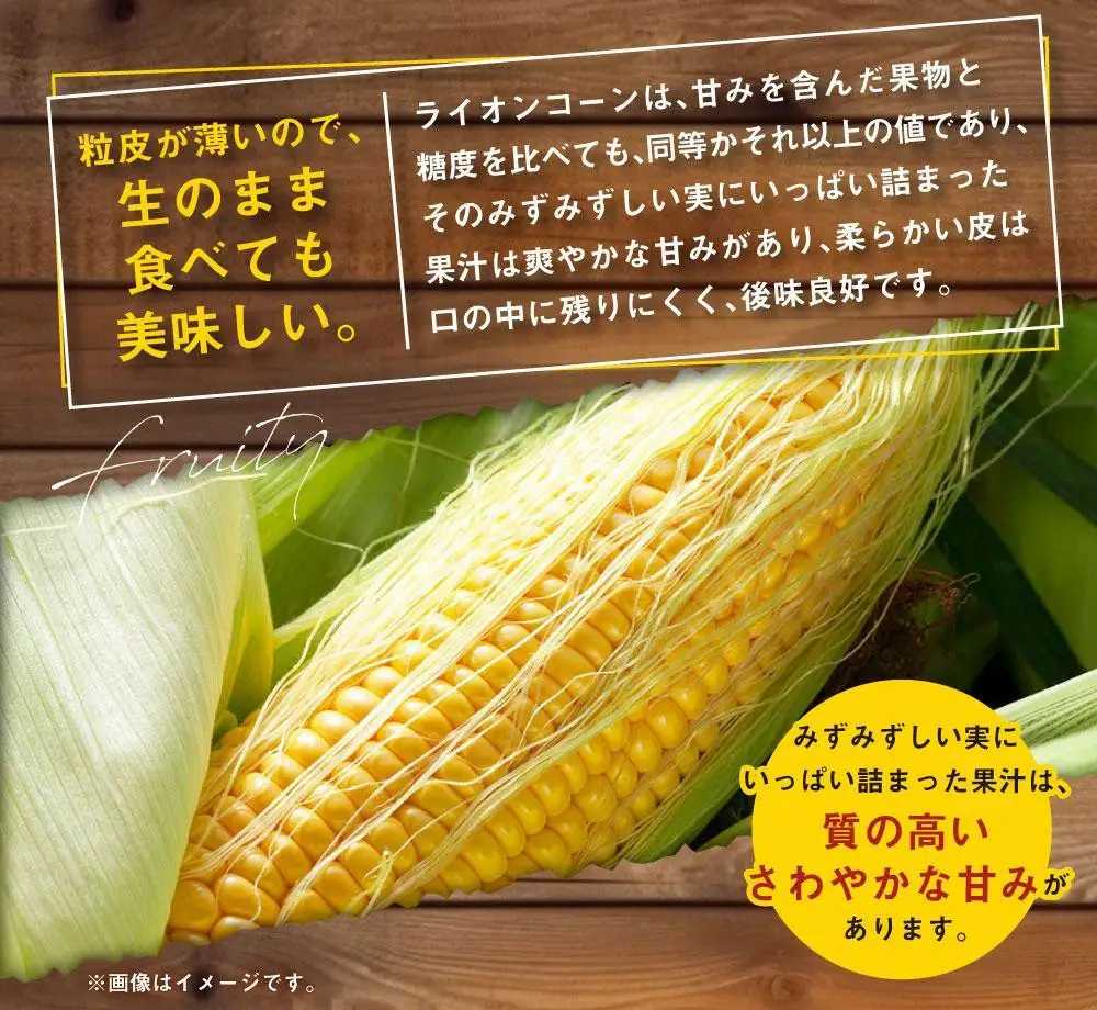 【先行予約】あさひやま動物園ライオンコーン3.2kg(ゴールドラッシュ8本)2026年8月下旬から発送開始 | とうもろこし とうもろこし 北海道 限定 _03812