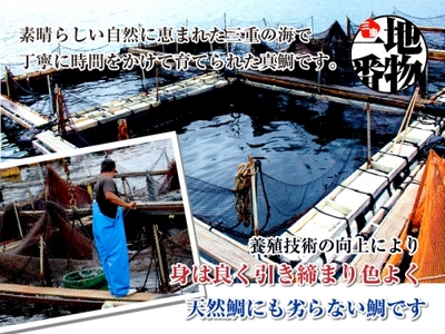 （冷蔵） 真鯛 捌いてお届け （ 三枚おろし スキンレス ） ／ マルカ水産 活〆 真空パック アラ お刺身 しゃぶしゃぶ お造り 煮物 お吸い物 縁起物 三重県 南伊勢町