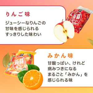 60粒入り！下仁田の蒟蒻ゼリーソフトタイプ2種 冬のフルーツセット（2種×5袋6粒入り） F21K-365