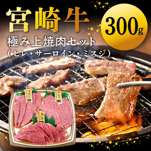 宮崎牛極み上焼肉セット 合計 300g　N0140-YB362