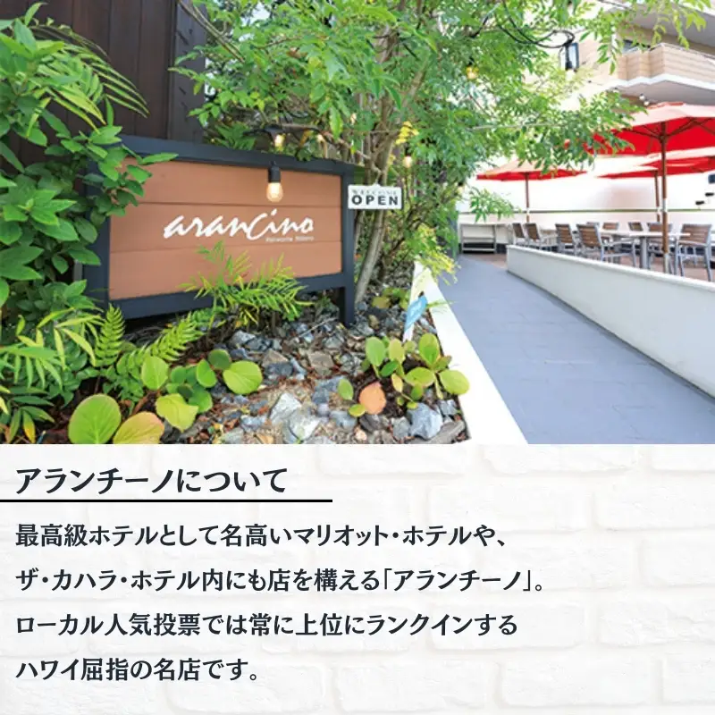 お食事券 アランチーノOSAKA 9,000円分【idea0001】