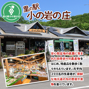 産地直送！宇佐のお米と季節の野菜詰合せ(お米5kg＋野菜詰め合わせ)米 お米 野菜 季節の野菜 詰合せ 安心院産 大分県産 勝負めし 【103700102】【小の岩の庄】