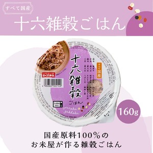 【国産100%】十六雑穀米 パックご飯 160g×48個 レンジで簡単 幸南食糧