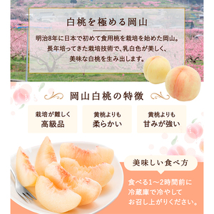 桃 2026年 先行予約 白桃 5玉 (1.5kg以上) 等級：ロイヤル 木箱入り もも モモ 岡山県産 国産 フルーツ 果物 セット ギフト 