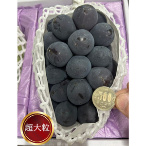 ぶどう 2026年 先行予約 ぼっけえ大粒ニューピオーネ1房(800g以上) 化粧箱