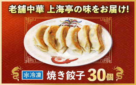冷凍 焼餃子 30個 餃子餃子餃子餃子餃子 [AKED002]