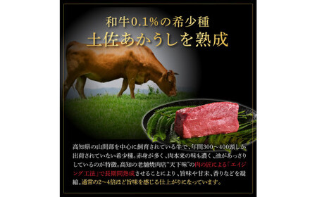特選 カルビサイコロステーキ 土佐あかうし 長期熟成肉 500g×2 合計1kg 田野屋銀象 完全天日塩付き カルビ ステーキ 肉 お肉 和牛 牛肉 国産 牛 熟成肉 豪華【株式会社LATERAL】 [BQAU007]