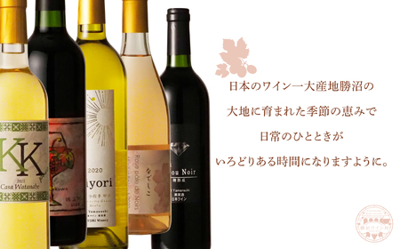 勝沼ワイン村 おまかせワイン（赤・白）6本セット（KWV）F7-620