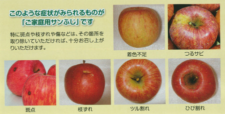 JA17 りんご サンふじ 訳あり 約10kg / 2026年11月下旬～12月上旬ごろ