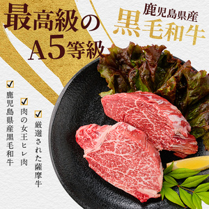 【2025年12月14日までのご入金で年内発送】薩摩牛 極 ヒレステーキ 300g 2枚入 カミチク IB112-018 A5 牛肉 牛肉 