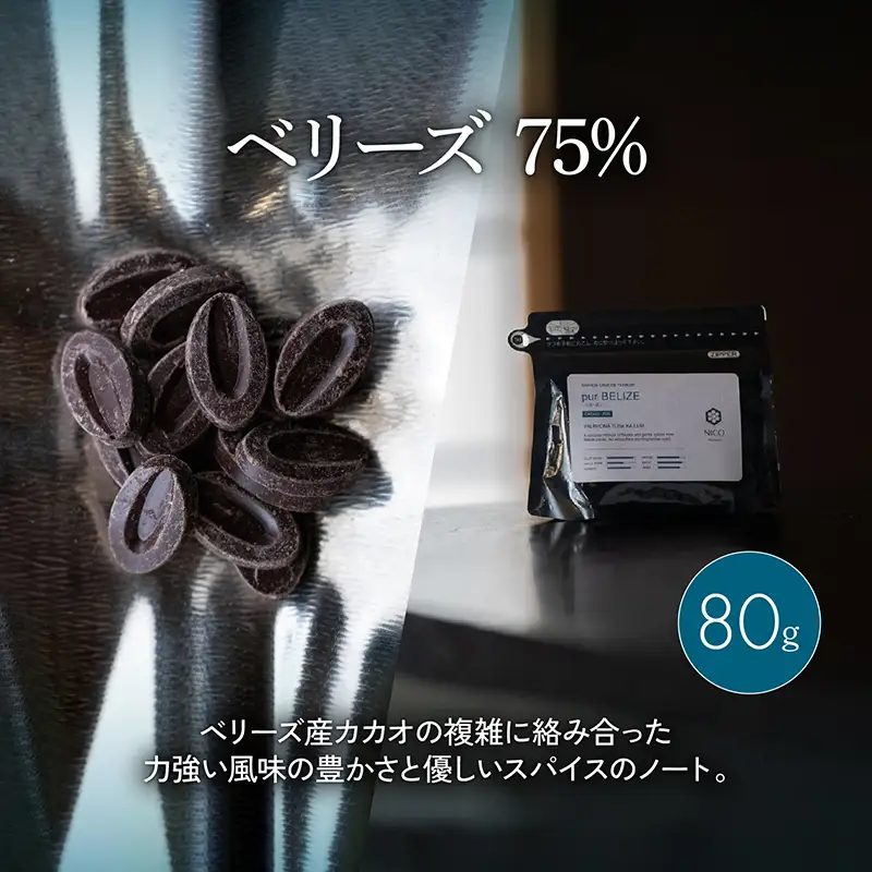 ボンボンショコラ5個(ジャック)&フェーブ80g（コイン状チョコレート）／NICOchocolaterie チョコレート チョコレート専門店 ボンボンショコラ スイーツ お菓子 贈答用 ギフト お取り寄せ 福岡県 小郡市 