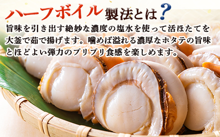 冷凍ハーフボイルほたて500g（15～17粒）　オホーツク産【1600801】