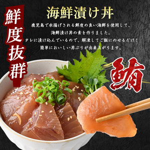 マグロ漬け丼100g×10袋 山川町漁協 IB039-001 マグロ マグロ