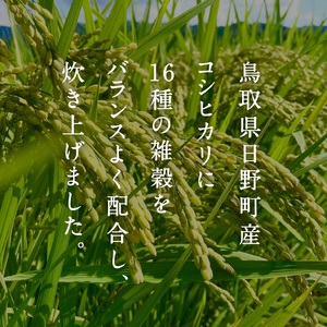 【お試し】十六雑穀ごはん 160g×12個 パックご飯 パックごはん 雑穀 雑穀パックごはん 玄米 コシヒカリ こしひかり おこめのみかた 電子レンジ レトルト 鳥取県日南町
