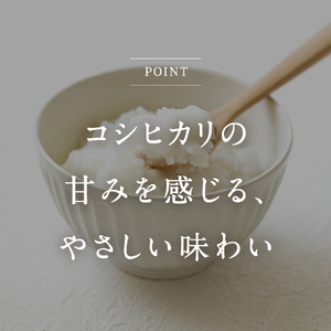 コシヒカリの白粥 200g×18個 おかゆ お粥 パックご飯 パックごはん コシヒカリ こしひかり おこめのみかた 電子レンジ レトルト 鳥取県日南町