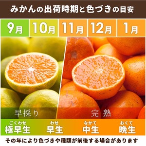 家庭用 完熟 有田みかん2.5kg+250g（傷み補償分）サイズ混合 