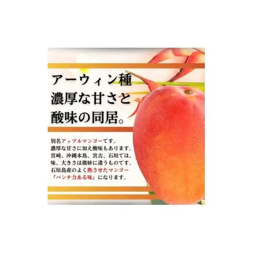 ＜予約受付＞完熟アップルマンゴー 7~12個 約5kg 