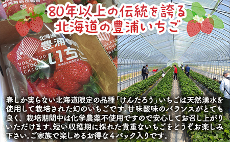 いちご 【2026月4月下旬以降出荷】豊浦いちご　250ｇ×4パック 