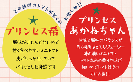【内閣総理大臣賞受賞】毎日食べたくなるミニトマト３kg 農林水産大臣賞受賞 日本農業賞大賞受賞 H031-005