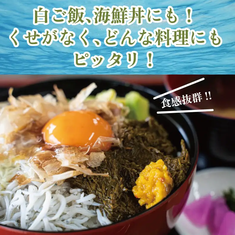 紀州あかもく［由良町産］100g×10パック（2026年産）【SL12】