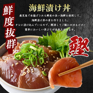 カツオ漬け丼100g×10袋 山川町漁協 IB039-002 カツオ カツオ 