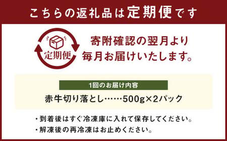 【定期便年3回】赤牛切り落とし 1kg 500g×2パック 牛肉 野菜炒め 牛丼 国産
