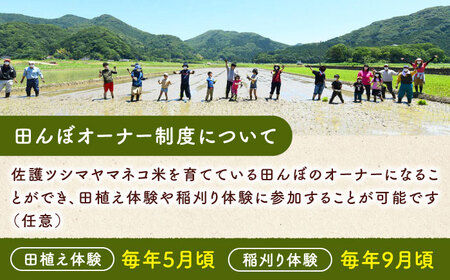 対馬 佐護 ツシマヤマネコ 米 田んぼオーナー1年権【ツシマヤマネコ米30kg付き】（対馬市） 米作り体験 田植え 体験 稲刈り 離島 チケット  [WAP015]