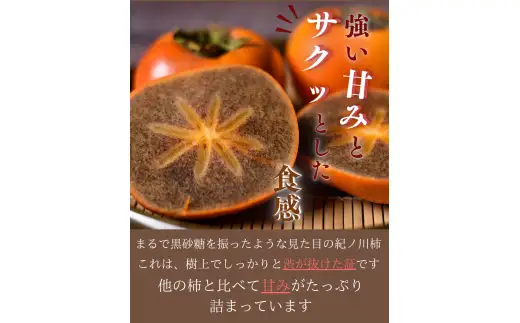 紀ノ川柿  約 2kg 2L~4L(サイズおまかせ) 秀品 / カキ 甘い 美味しい 紀美野町産 ※2026年10月中旬～11月上旬に順次発送【frt504-r-kino-2】