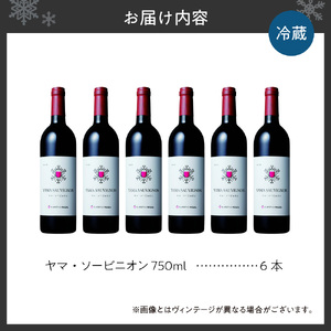 【さっぽろワイン】ヤマ・ソービニオン ６本セット