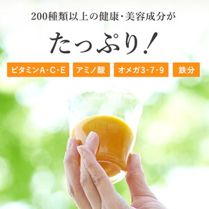 【定期便5カ月】サジー グアマラルサジー＋ゆず 1000ml　毎月1本5カ月コース _DX25