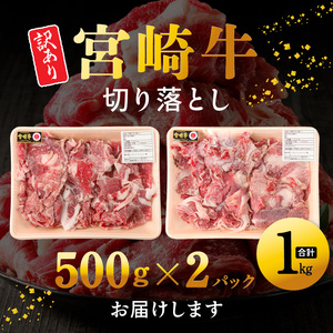 【訳あり品】宮崎牛 切り落とし1kg N0140-YA6612