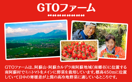 ぷりうまミニトマト 1.2kg (200g × 6袋) 破損保証約100g含む トマト ミニトマト 野菜 GTOファーム 熊本県 南阿蘇村《2026年7月上旬-10月末頃出荷》